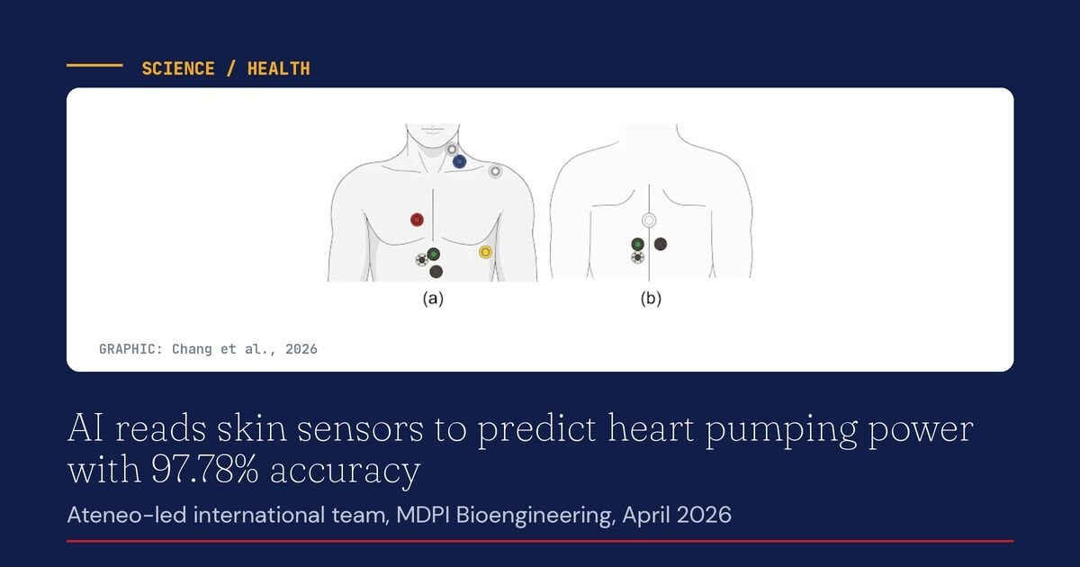 AI Model Predicts Heart Function at 97.78% Accuracy