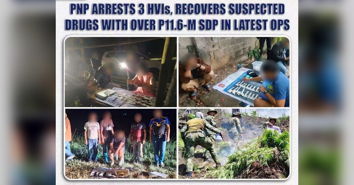 Two Rebels Surrender in Eastern Visayas; Gun Seized